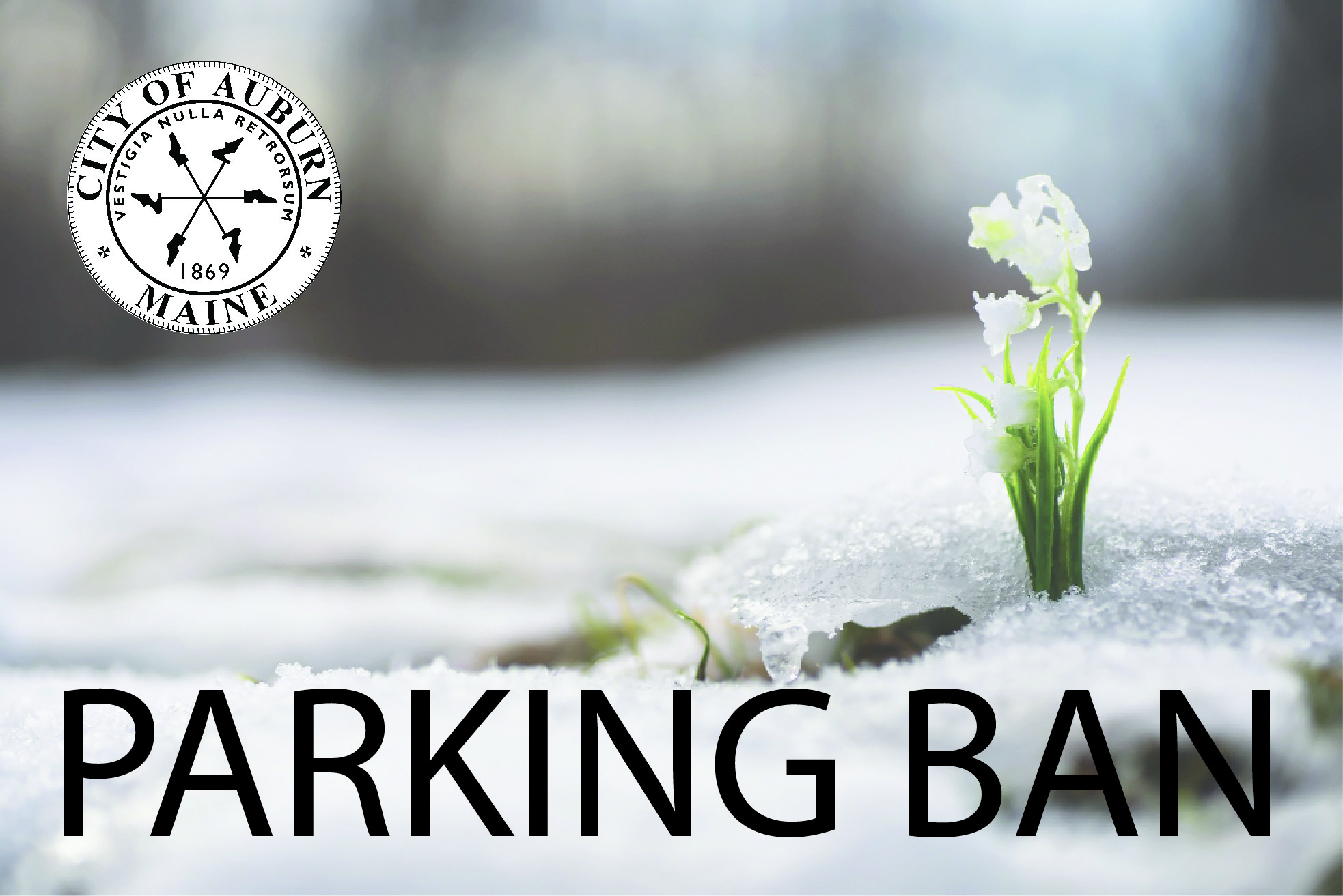 PARKING BAN